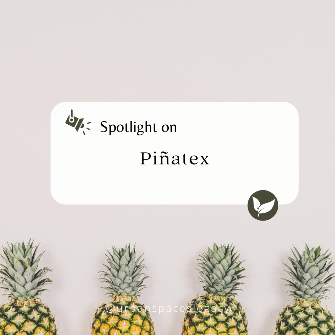 Urbanspacesleg1's tweet photo. Spotlight On: Piñatex! 🧥

Today we are taking a closer look into the fascinating world of vegan leather. Clothing made from Piñatex can be a great substitute to genuine leather products and still keep you true to your style!

#sustainablefashion #slowfashion #sustainable https://t.co/1sn3qIpH8e