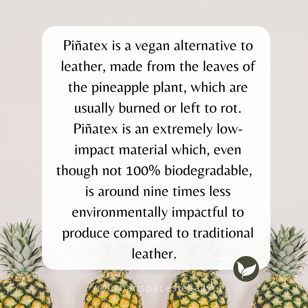 Urbanspacesleg1's tweet photo. Spotlight On: Piñatex! 🧥

Today we are taking a closer look into the fascinating world of vegan leather. Clothing made from Piñatex can be a great substitute to genuine leather products and still keep you true to your style!

#sustainablefashion #slowfashion #sustainable https://t.co/1sn3qIpH8e
