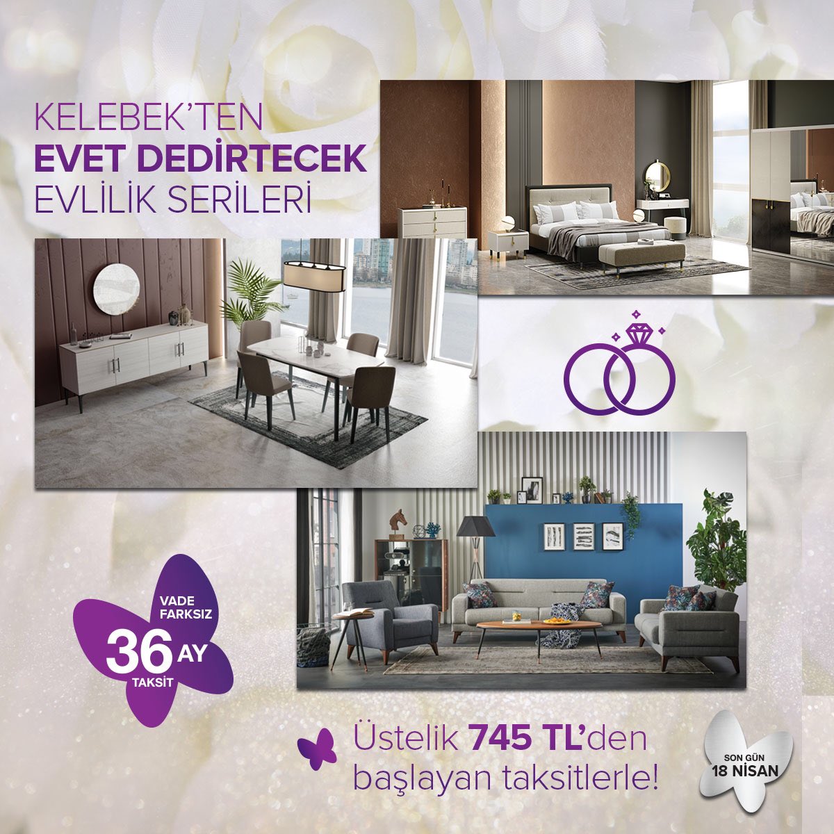 Kelebek Mobilya tweet media