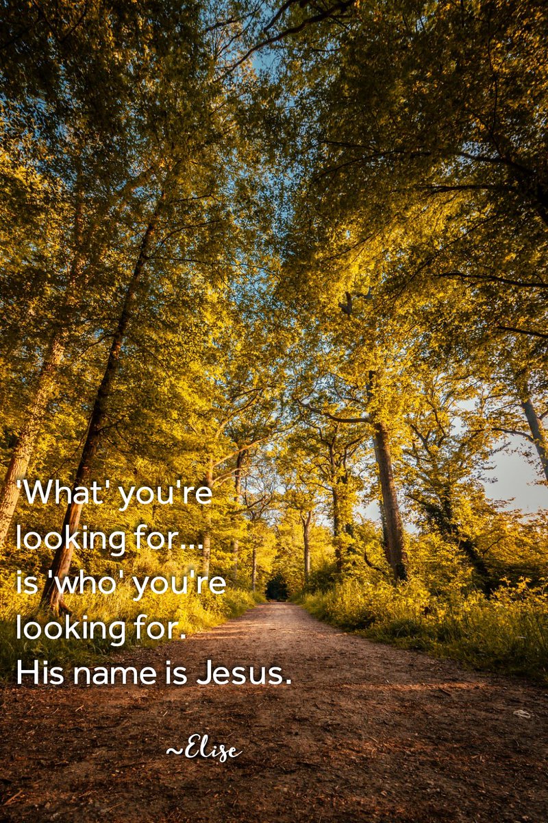 🌾laborer of Jesus (@elisemcdowell) on Twitter photo 