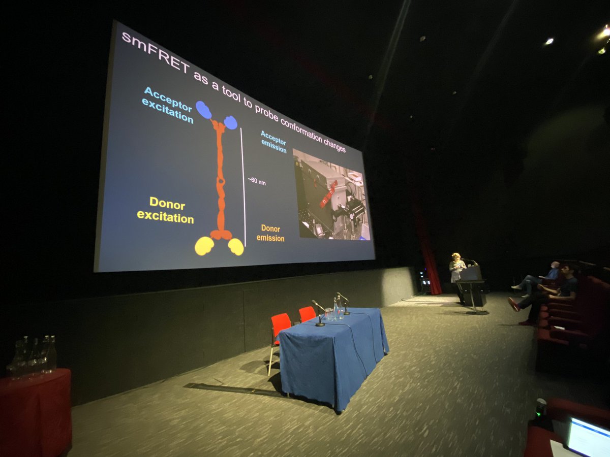 The <a href="/Craggs_Lab/">Tim Craggs - Exciting CEO</a> #smfbox on the cinema screen where it belongs! Fab talk <a href="/Smith_Evie_/">Evie Smith</a> - very #proudPI 🎉 #BSCBDB22