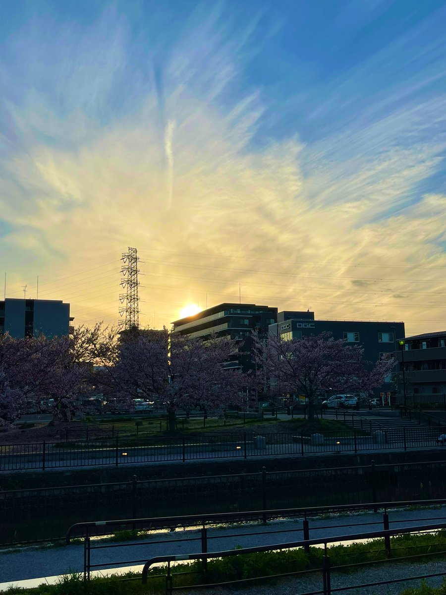 ogishi_ogc's tweet photo. 桜も葉桜になってきましたね!
写真の右寄りに写っているのが株式会社OGISHIの本社OGCビルです😊
駅からの戻りに、夕陽と雲が綺麗だったので一枚📸
#株式会社OGISHI #OGISHI #鳶 #足場 #建設 https://t.co/ES5jHQ3XaU