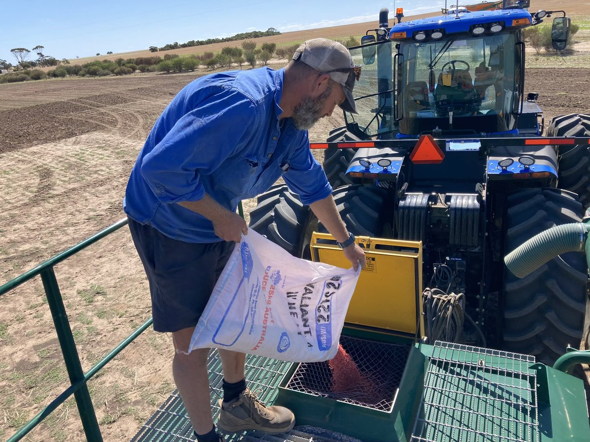 InterGrain tweet media