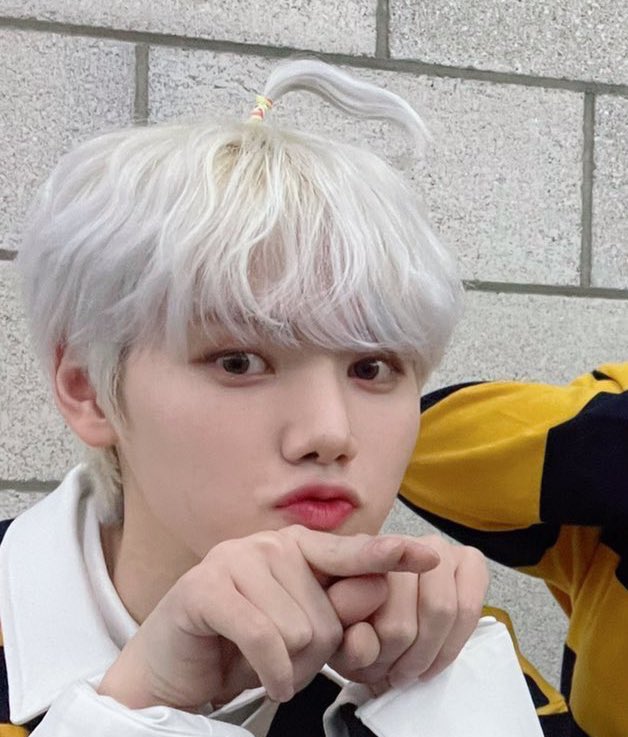 mini_ML02's tweet photo. 우리집 말티쥬랑 너무 닮음 ㅜㅜ https://t.co/aEJsqKRP5U
