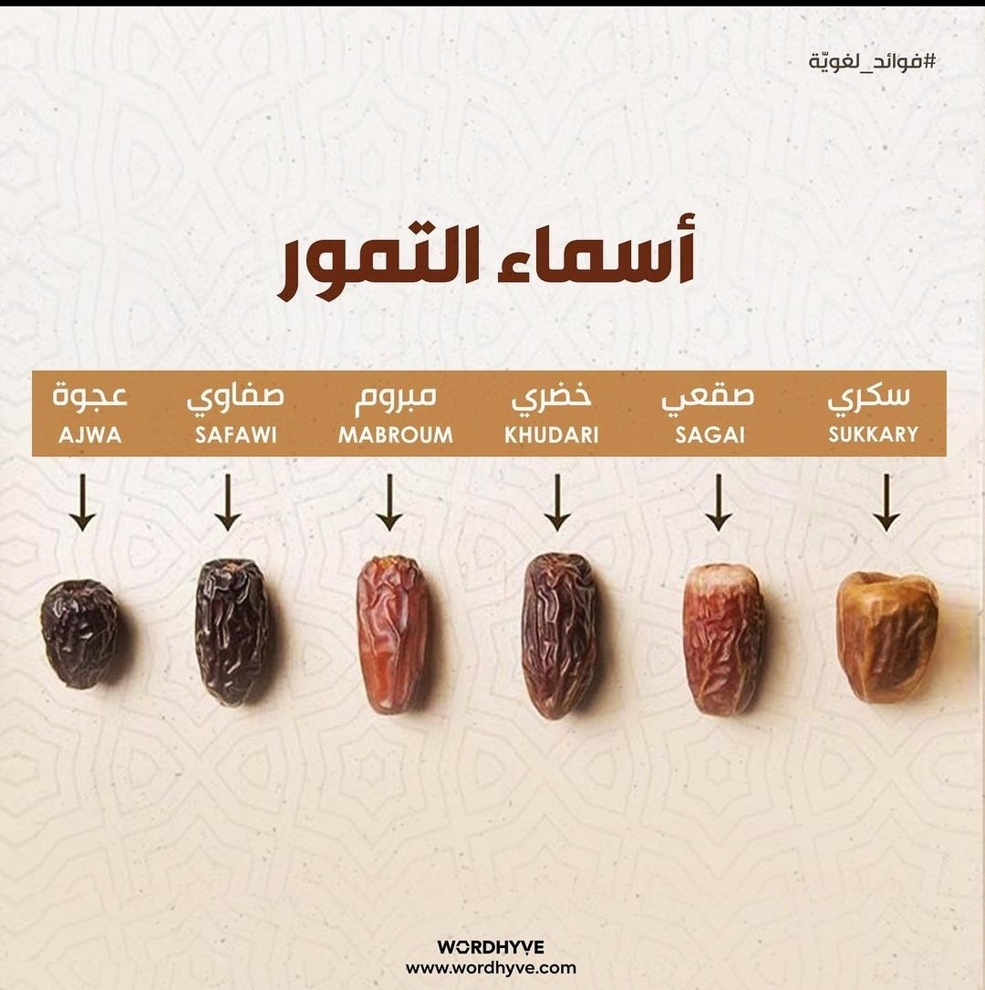door503's tweet photo. أسماء التمور https://t.co/U66MIg4yvo
