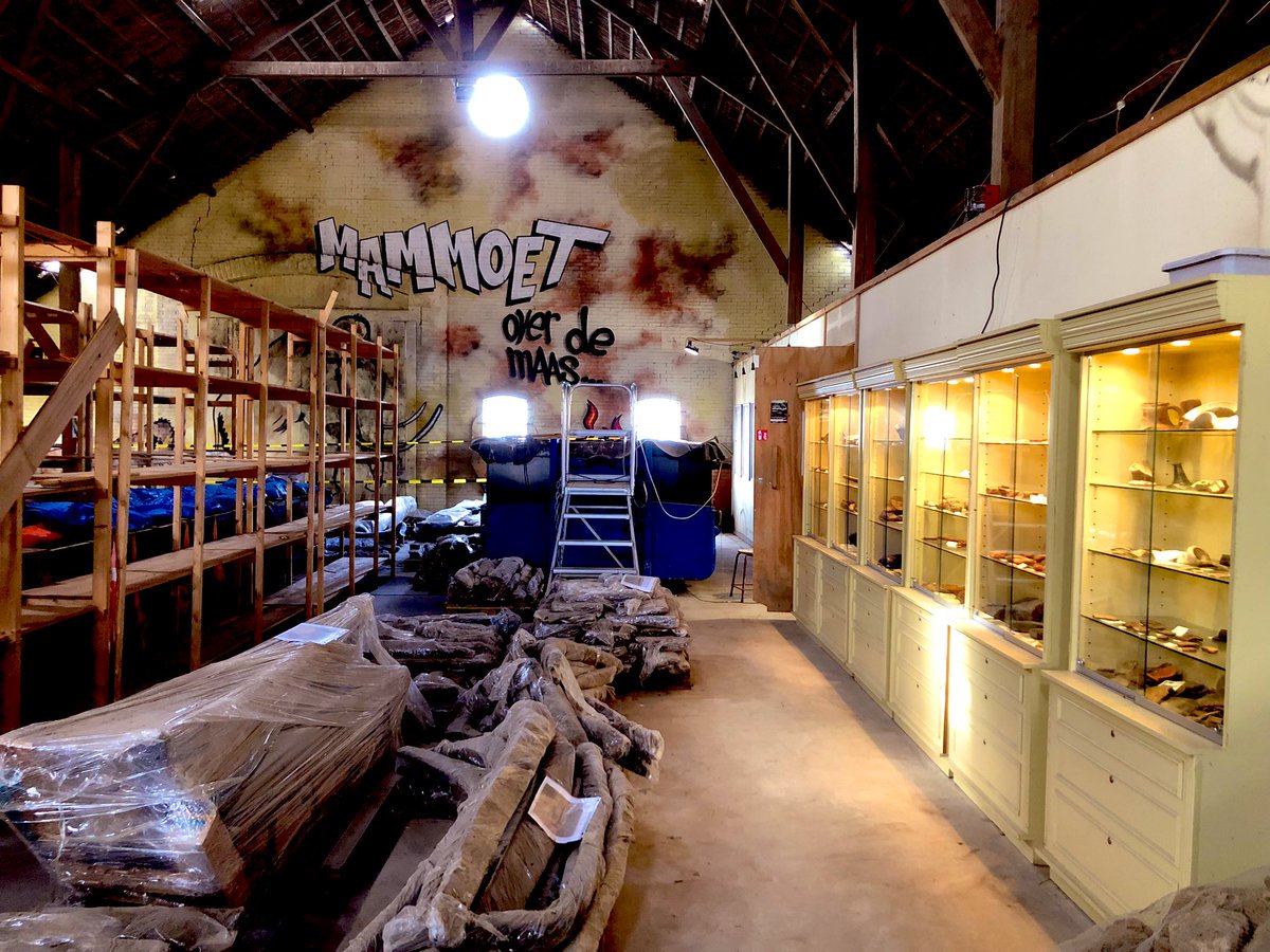 prehistoryRMO's tweet image. Site visit to project ‘Over de Maas’ in #Dreumel #Gelderland last week. Impressed by the knowledge, enthusiasm and perseverance of Nils Kerkhoff and his team of volunteers who rescued over 450.000 archaeological finds including largely intact ships during floodbasin development