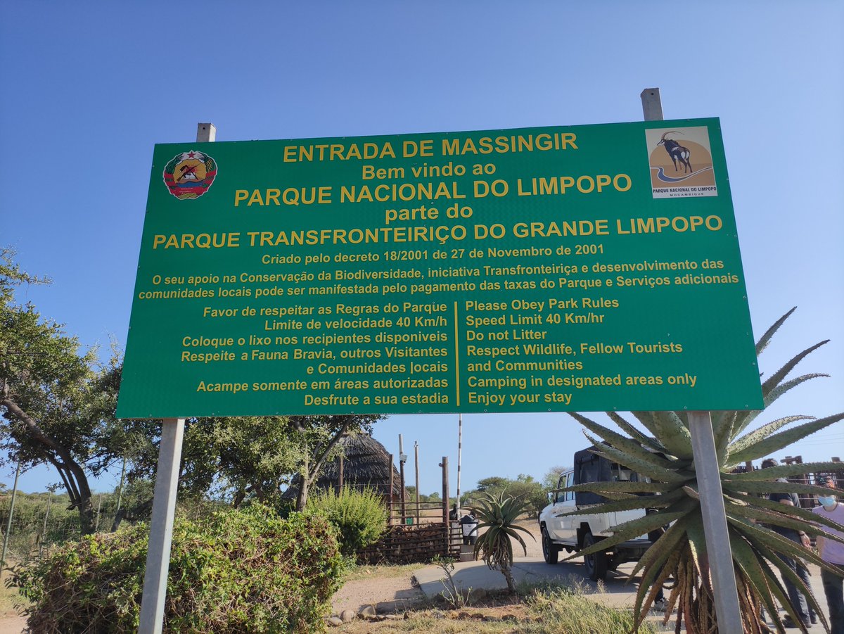 miguel_forestal's tweet photo. Fortalecimiento de la red de datos en el bosque digital del Parque Nacional del Limpopo (MOZ), para el desarrollo de herramientas de Gestión Forestal Sostenible #digitalizacion #bosques #forestal #TLS #TreeTalkers #UAV #GFS https://t.co/p5OskFIWNe