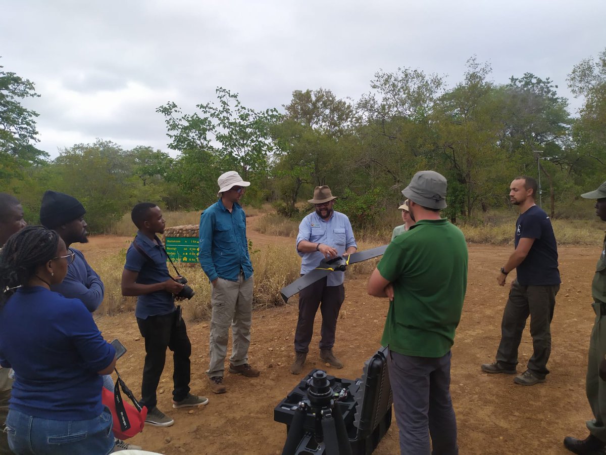 miguel_forestal's tweet photo. Fortalecimiento de la red de datos en el bosque digital del Parque Nacional del Limpopo (MOZ), para el desarrollo de herramientas de Gestión Forestal Sostenible #digitalizacion #bosques #forestal #TLS #TreeTalkers #UAV #GFS https://t.co/p5OskFIWNe