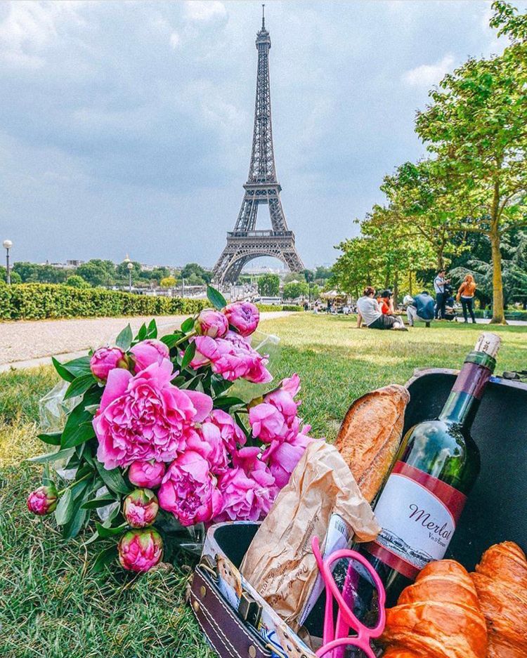 The most dreamy place for a picnic 😍