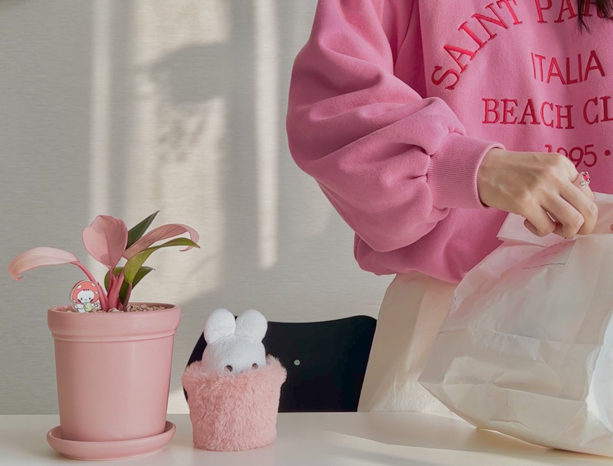 #rt
#식목일이벤트

식목일을 맞이하여 인형용 fluffy pot을 보내드립니다🌱 귀여운 솜 친구들을 심어 보세요☻︎

- 국내 주소 한정
- 당발 : 4월 8일 금요일
- 7~10cm 인형용 화분이며 원단 및 색상은 변경될 수 있습니다. 키가 작은 친구들은 바닥에 종이 뭉치를 깔아주세요☺︎︎