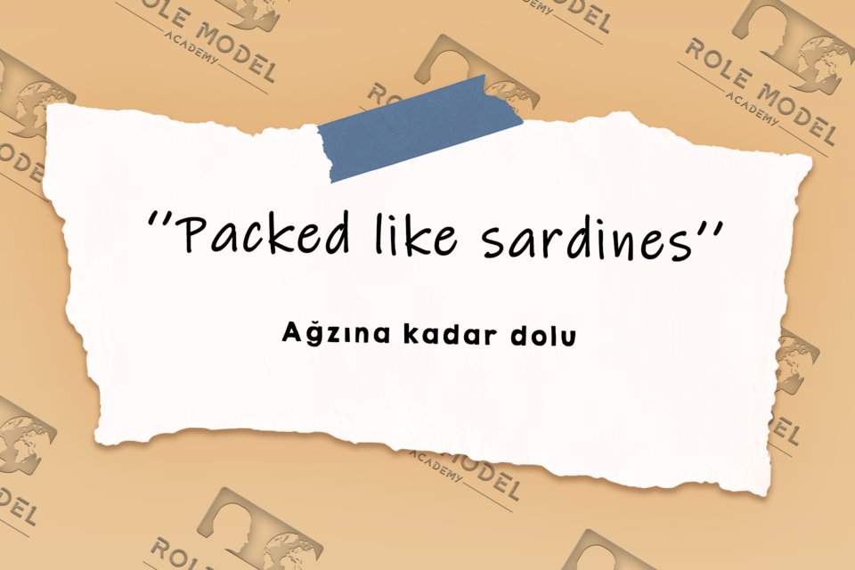 Role Model Academy (@rolmodelakademi) / Posts / X