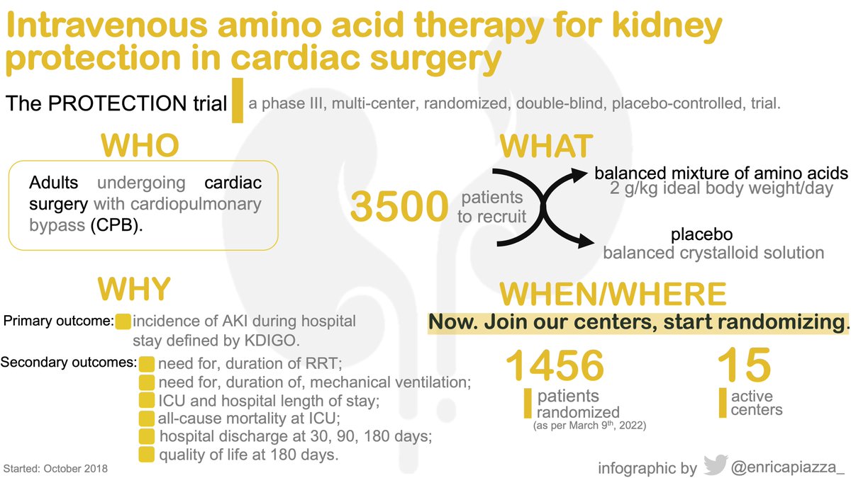 SRAnesthesiaICU's tweet photo. Is infusion of amino acids reducing acute kidney injury in #CardiacSurgery patients?

🖼️Infographic of the #PROTectionTrial by @enricapiazza_
🔗 https://t.co/xmThvck7FV
 
#FOAMcc #AKI https://t.co/51UXS4o3re