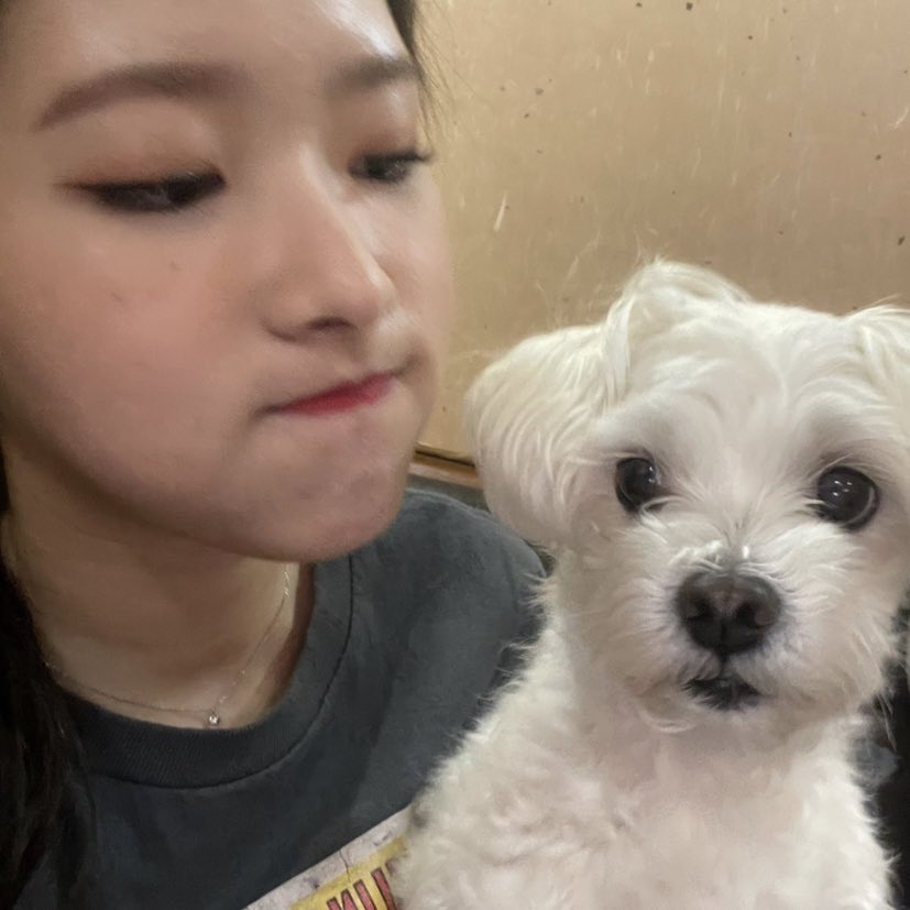 bomi and gureum and their owner