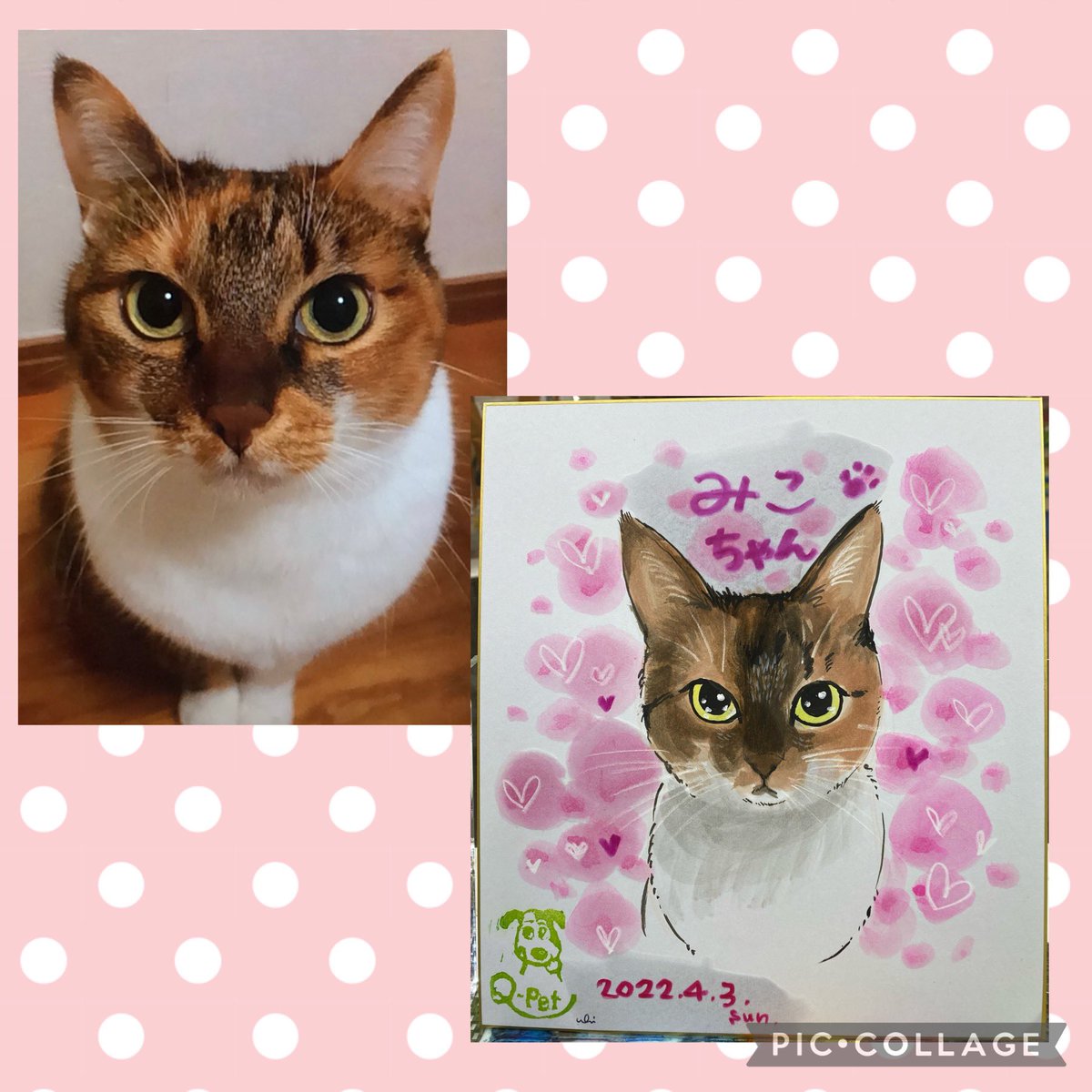 akkinea's tweet photo. 物凄く楽しかったインターペットも終わってしまい抜け殻の様になってますが、次のお仕事の準備でバタバタしてます。

お客さまショットの続き🐶🐱
みんな可愛かったな〜💕

#インターペット2022 
#Qpet
#わんちゃん似顔絵
#猫ちゃん似顔絵 https://t.co/mIntD5Sq5x