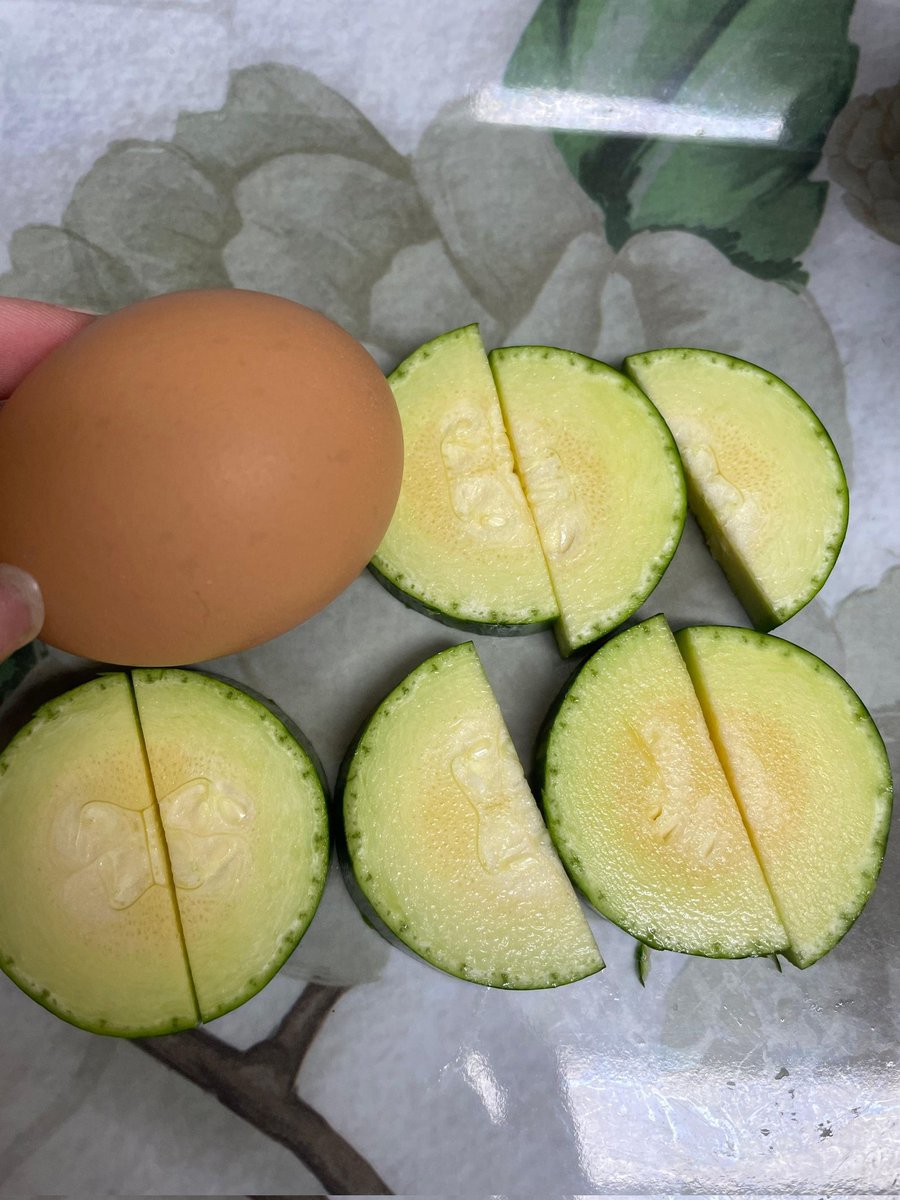 idegeul's tweet photo. 🐥💌 — weverse

"hari ini, aku mencoba membuat telur zucchini jeon"

"aku memanggangnya dengan 
penuh hati"

"hasilnya ^,^ haha" https://t.co/Ht8er4p7p1