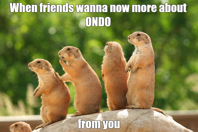 July_Juss's tweet photo. @OndoFinance https://t.co/YHS82vW6Ma