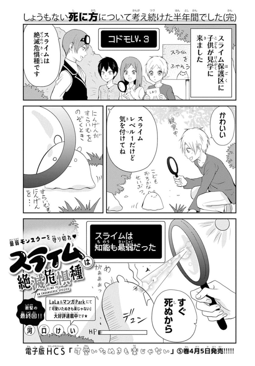 🧪🧫本日発売
LaLaDX5月号🧫🧪
\さようならスライム🥺/
『#スライムは絶滅危惧種』
by #河口けい
目が…っ、目がぁああぁ‼️
信じられる……❓この2P後には「完」って書かれるんだよ。
絶対に全米が泣かない最終回🥺
お見逃しなく🥺
電子版HCS『#可愛いたぬきも楽じゃない』⑤巻も本日発売🐾