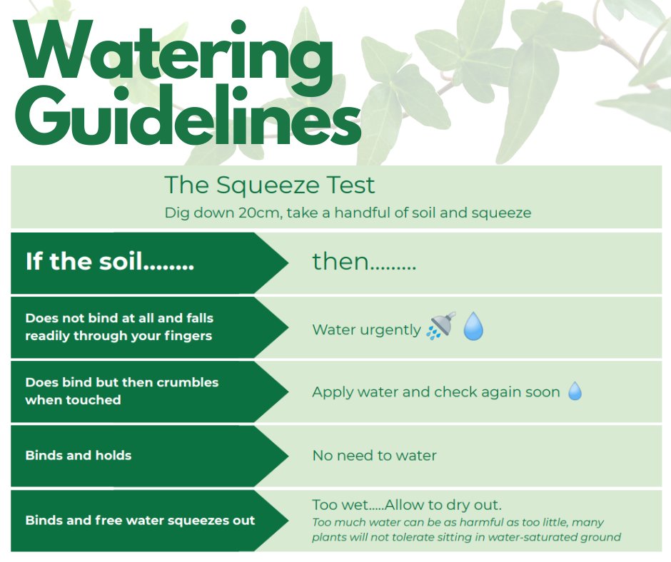 HedgeplantsC's tweet photo. The most common reason for the failure of trees and shrubs is lack of water, or over watering.

With plants and hedges starting to flower now that Spring has arrived, it is more important than ever to water your garden.

#hedgeplants #wateryourplants #spring #hedges #gardencare https://t.co/cbstK5XY5y