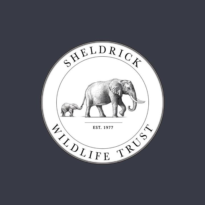 We are proud to be a new creative partner to the Sheldrick Wildlife Trust @sheldricktrust. An incredible charity founded in Kenya, East Africa, dedicated to the welfare and rescue of orphaned animals, and the protection of habitats for the future. Go and check them out!