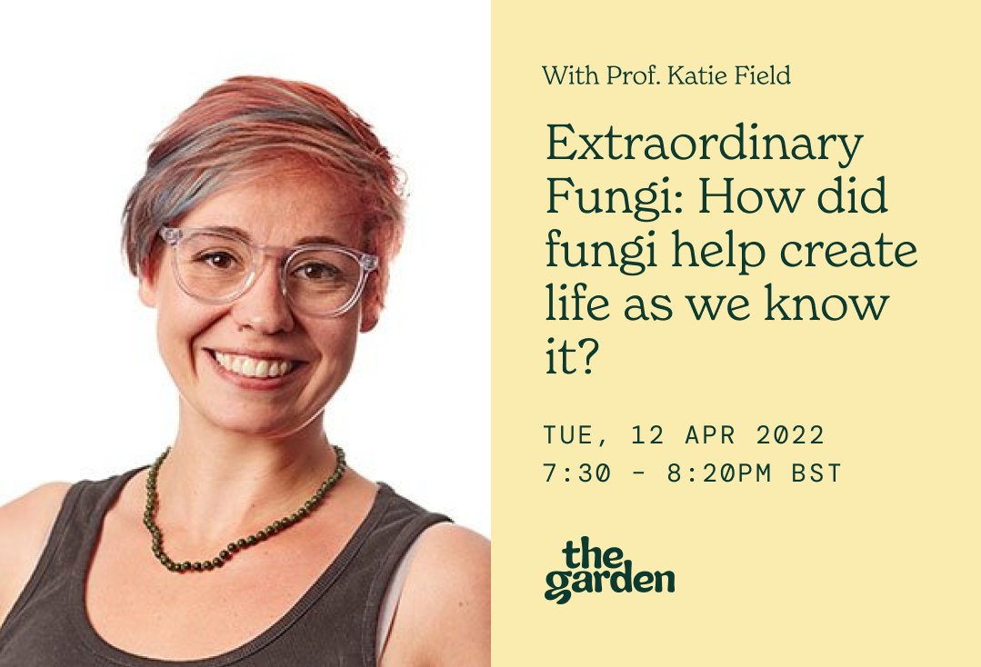BloomandWild's tweet photo. Did you know? Plants wouldn’t have made it out of water 450 million years ago if not for their teamwork with fungi.

So join @KatieField4 and @OneGardenHQ to shed more light on how fungi has helped create life as we know it!

Reserve your spot here 👇
https://t.co/RKhs04eF4Q https://t.co/dha4i8oK6v