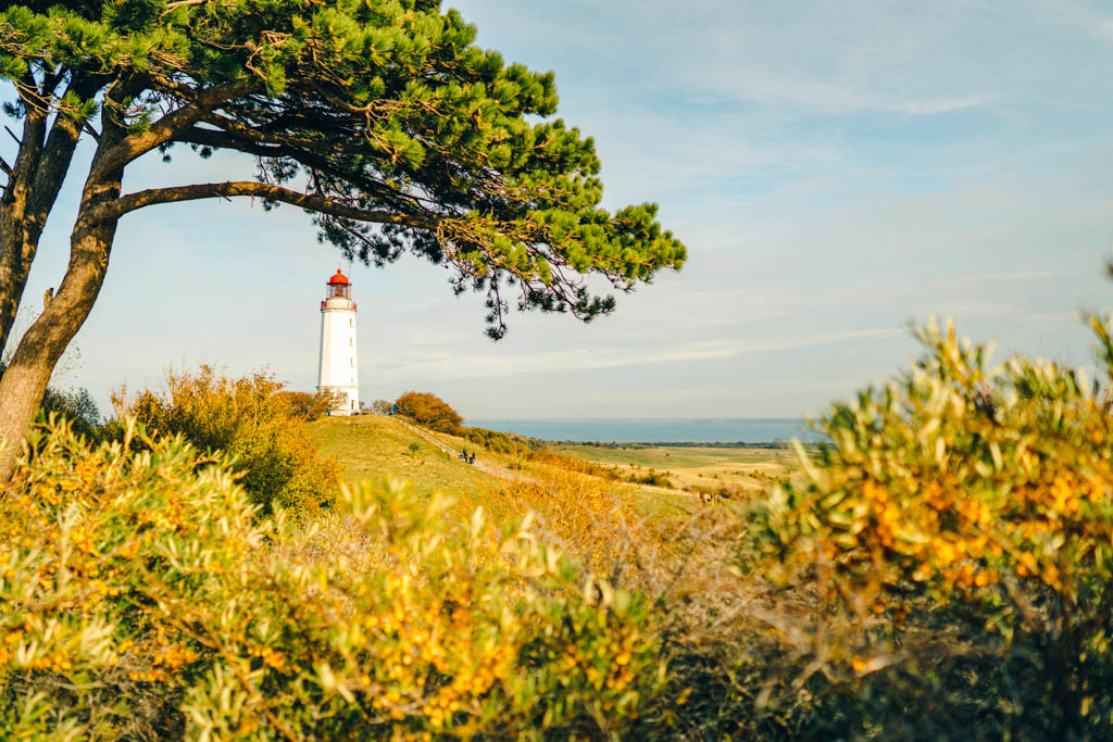 verkeersbureaus.info tweet media