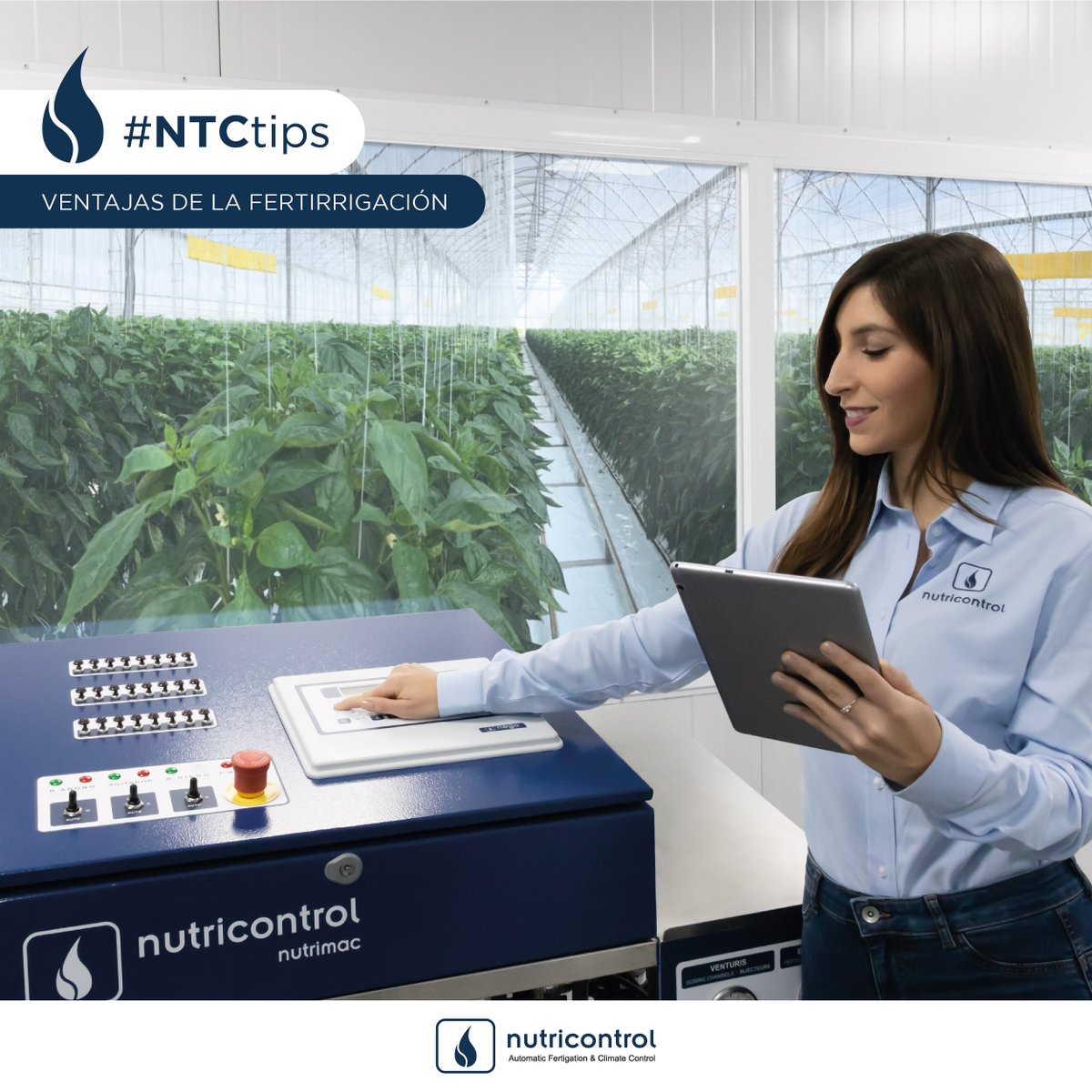 Nutricontrol_es's tweet photo. 💬Hoy en #NTCtips te contamos algunas de las ventajas de la fertirrigación.
Lee el artículo completo aquí 👇
https://t.co/dZDCBWBcXV https://t.co/xCVYOyooQ8