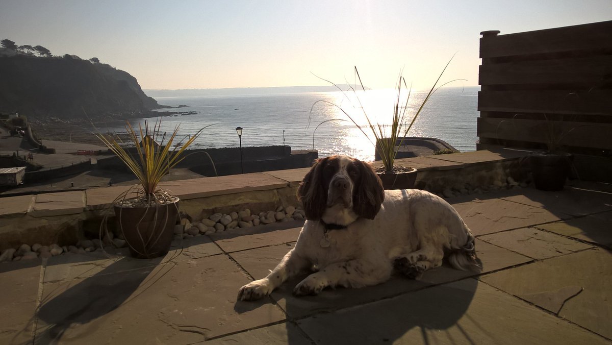 Jonathan Ball tweet media