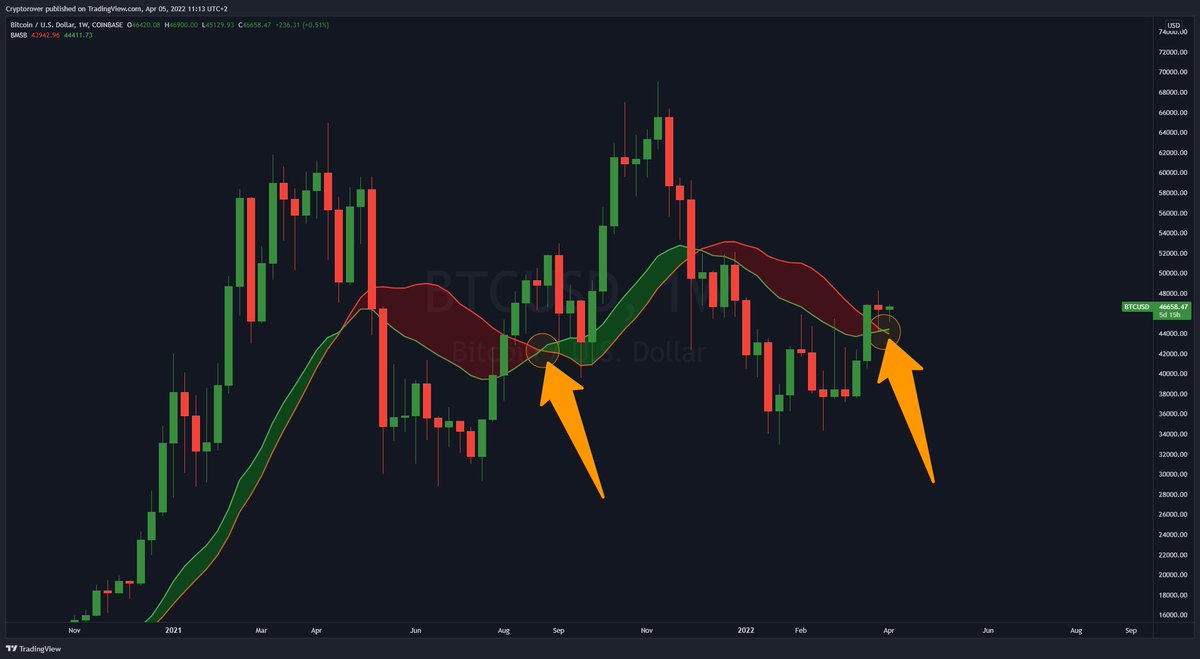 Crypto Rover tweet media