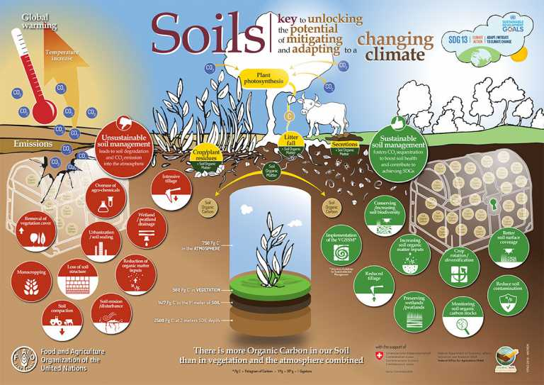 Soil is more #precious than gold. Gold can't help us grow food, sustain life. 
Action now : consciousplanet.org
#Earth #NoSoilNoLife #soil #SoilMatters 
#SaveSoil #SaveSoilWithWords #SaveSoilMovement @cpsavesoil @SoilAssociation @AshwiniKChoubey @moesgoi