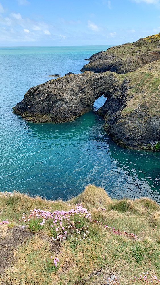 John @CarpeDiemEire tweet media