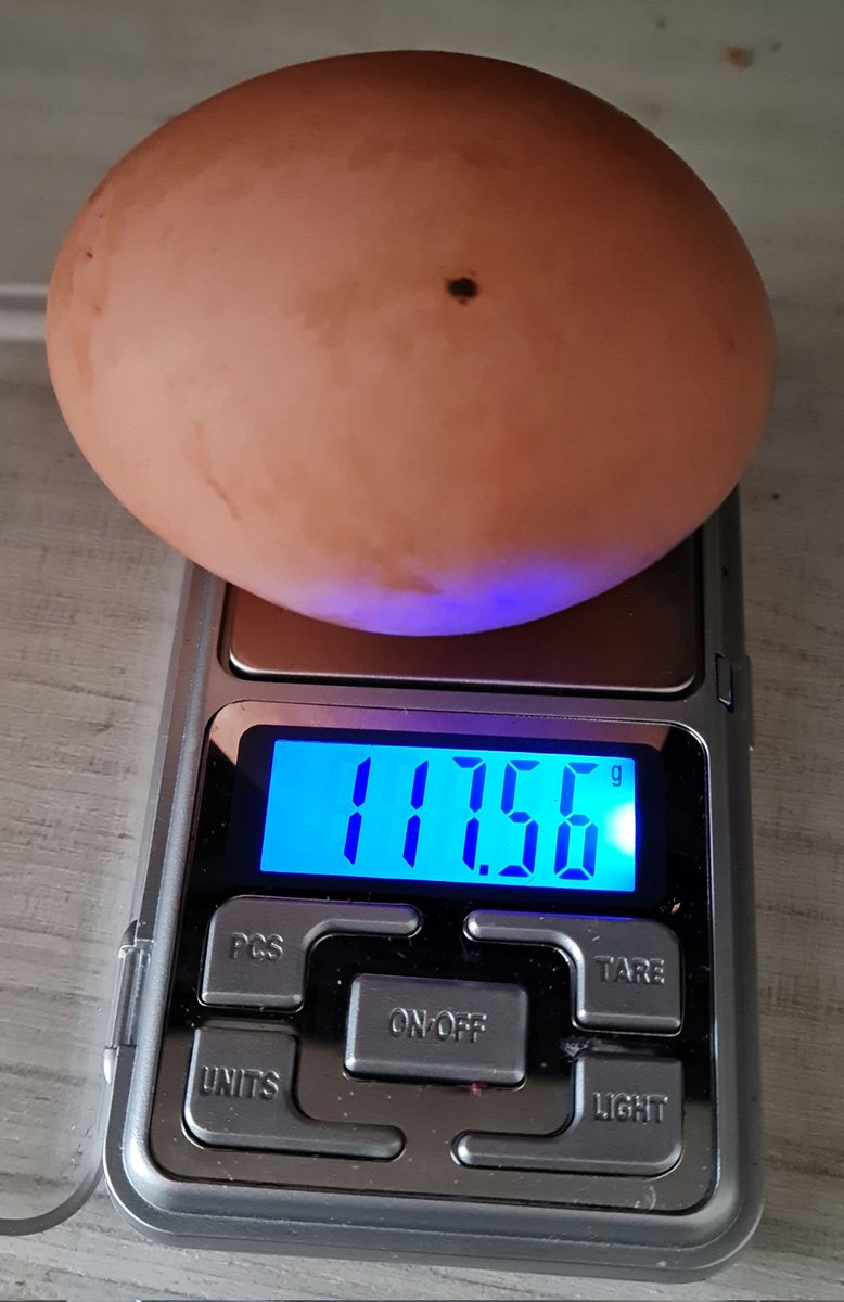 shishak12's tweet photo. Konečně se nám ten výzkum s pštrosí DNA začíná vyplácet 🤣 #pipcoin https://t.co/zyn6aXZZzr