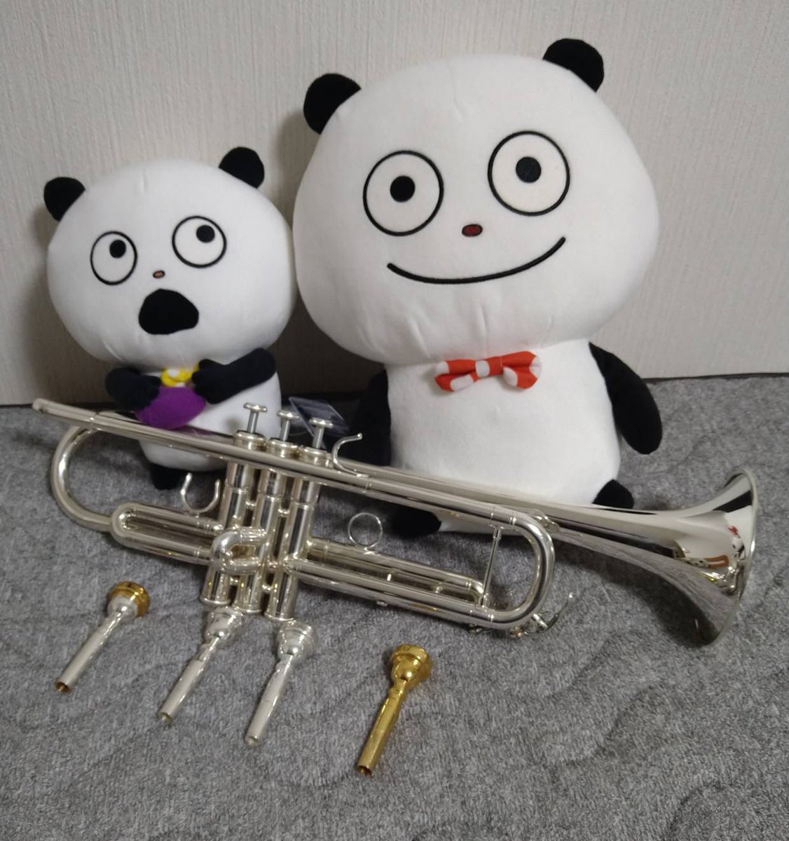 Shindai_orch's tweet photo. パート紹介
〜トランペット〜
こんにちは！！！
トランペットです！！🎺🎺🎺🎺🎺
信大オケのトランペットパートは現役が今１人しかおらず、非常にピンチな状態です！！！！
経験者の人も未経験の人も、是非オーケストラで華型のトランペットを吹いてみませんか？
お待ちしてます！！！🎺🎺🎺🎺🎺 https://t.co/Ya6K9rg3yn
