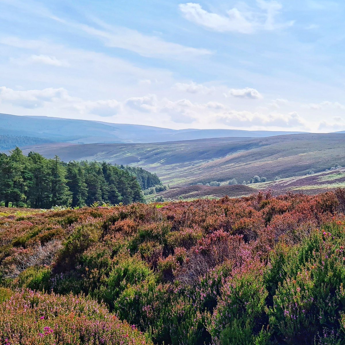 Grampian Escapes & Tours Ltd tweet media