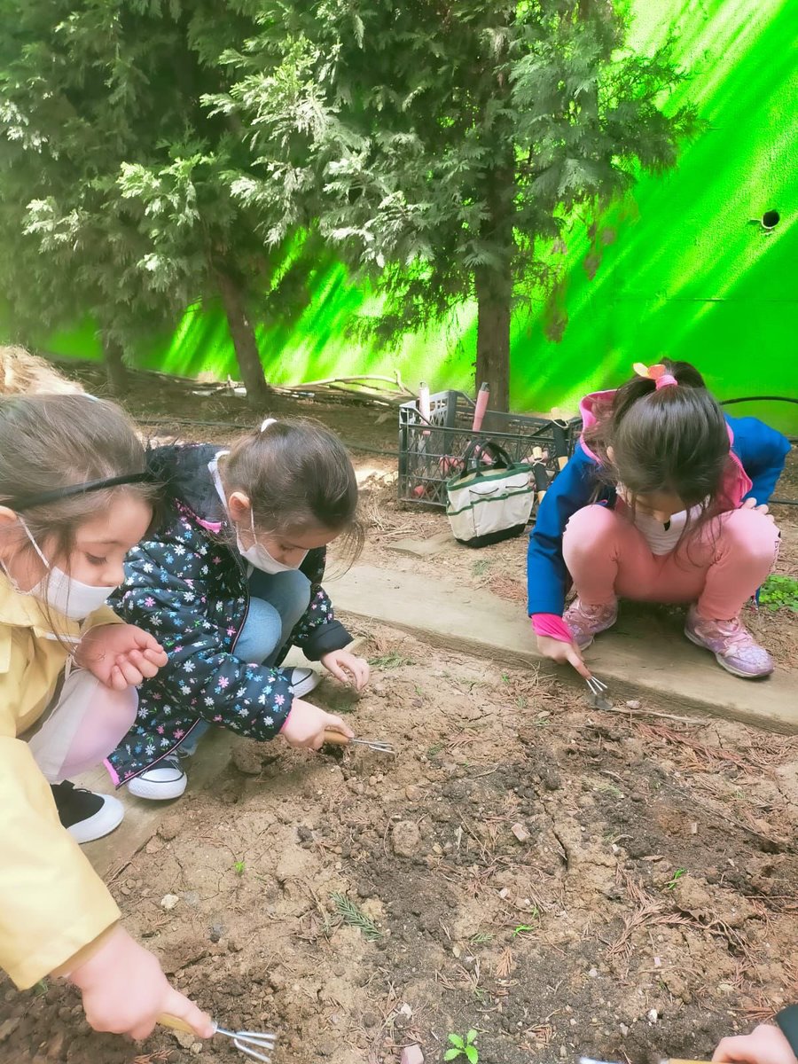 This week we cleaned our field and ventilated the soil during our Ecology lesson. We also discovered new living beings in it ☘️

@acrznp <a href="/EnisEryaman/">Enis Eryaman</a> #tuzladoğaanaokulu #tuzladoğailkokulu #tuzladoğakoleji