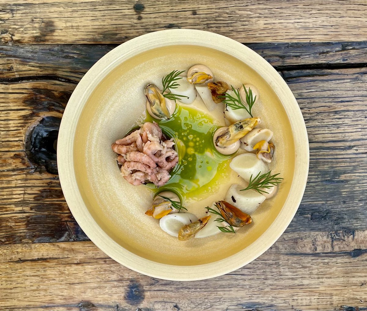 Kokkels &amp; mosselen uit de Oosterschelde met aardpeer in krabbenbouillon, schorseneren, garum van inktvis, gedroogde en gekookte Hollandse grijze garnalen en olie van waterkers.