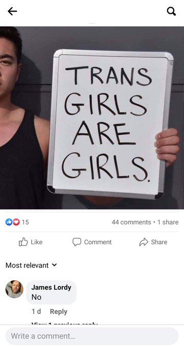 Someone on Facebook: being transphobic, misogynistic, self entitled and uses "rape victim" as an insult