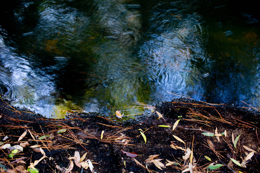 LeahBarclay's tweet image. Looking forward to presenting a paper w/ Lyndon Davis &amp;amp; @spirekids at @__ANAT’s SPECTRA this Friday! The paper explores our approaches to collaboration across 3 projects with an audio-visual dialogue by the Maroochy River 

Register online: spectra.org.au/spectravision 
#ANAT_SPECTRA