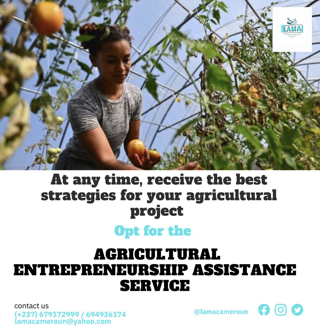 lamacameroun's tweet photo. The land does not deceive and it is true ! 🤷🏿‍♂️

This is even more true when you place your #investment there by having the best security ⚠️ when acquiring #agricultural land, and throughout your #seed and distribution activities 🌍 of your agricultural products.

#lamacameroon https://t.co/aiglsv3XW3