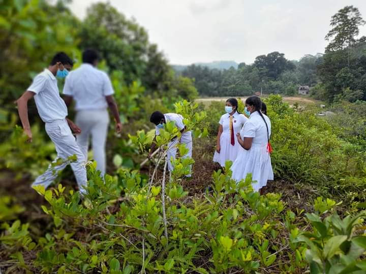 trees_half's tweet photo. This is how we thank you for taking your knowledge and your abilities to the good of the world.
#jameshansen
#Amazon #nature #planting #rain #forest #Earth #world #plants  #birthday #trees  #news #world #earth https://t.co/UhnWiAT27G