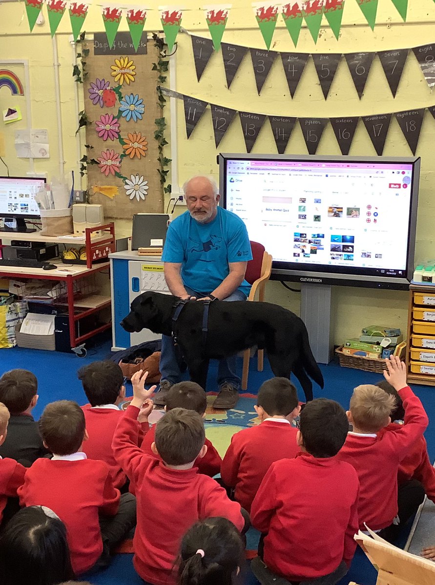BirchgrovePrm's tweet photo. Dosbarth Derbyn have had a super start to the day meeting Forest and Mr Hinchey and learning about the life of a guide dog 🐶 ⭐️ #guidedogscymru https://t.co/RcUsZiI4Or