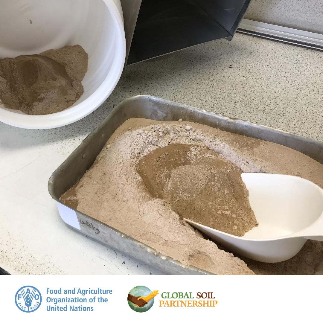 GSP is organizing a global proficiency testing with <a href="/BritGeoSurvey/">British Geological Survey</a>, <a href="/UoE_Main/">University of Eldoret</a> &amp; <a href="/ird_fr/">IRD.fr</a> 🇬🇧🇰🇪🇫🇷 to assess the performance of #soil laboratories to analyse SOC, Phosphorus and Nitrogen🥽🥼

250 laboratories from 100 countries are participating‼️
➕Read more➡️tiny.cc/0jypuz