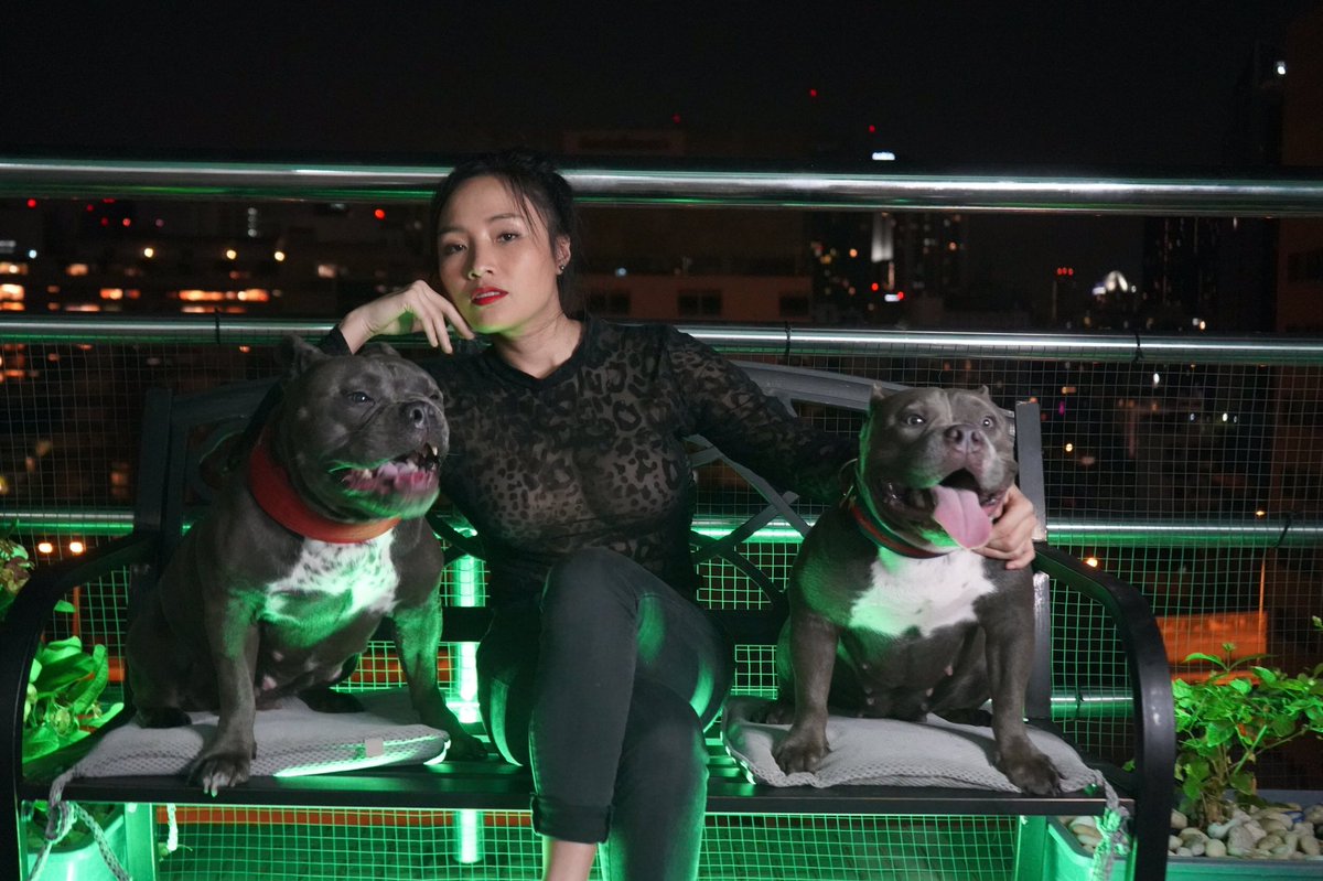 weetozz1's tweet photo. 420 / my dogs / web3 …. I’m good 😚 https://t.co/yG0kgMI087