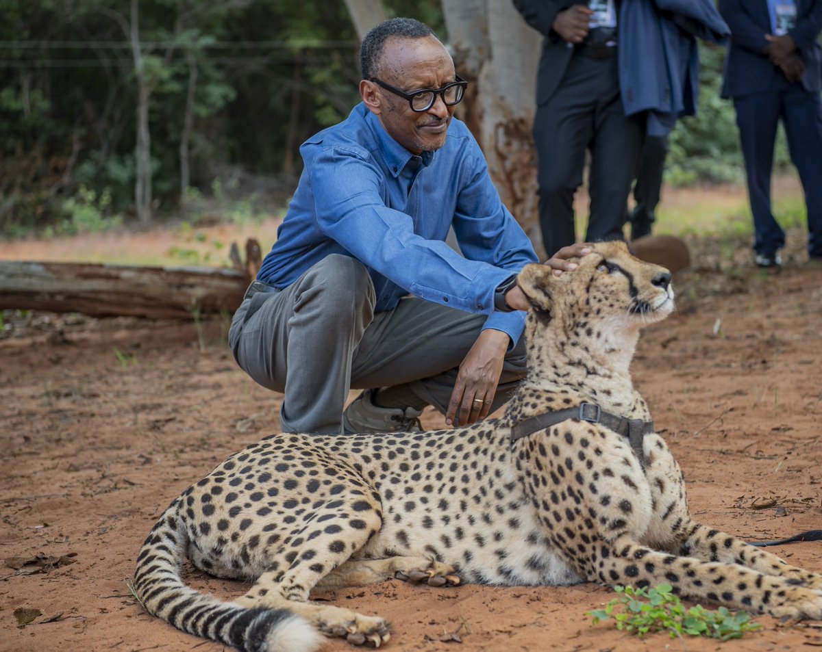 PressSecRwanda's tweet photo. 🇷🇼 🇿🇲 https://t.co/Dig87WUVBQ