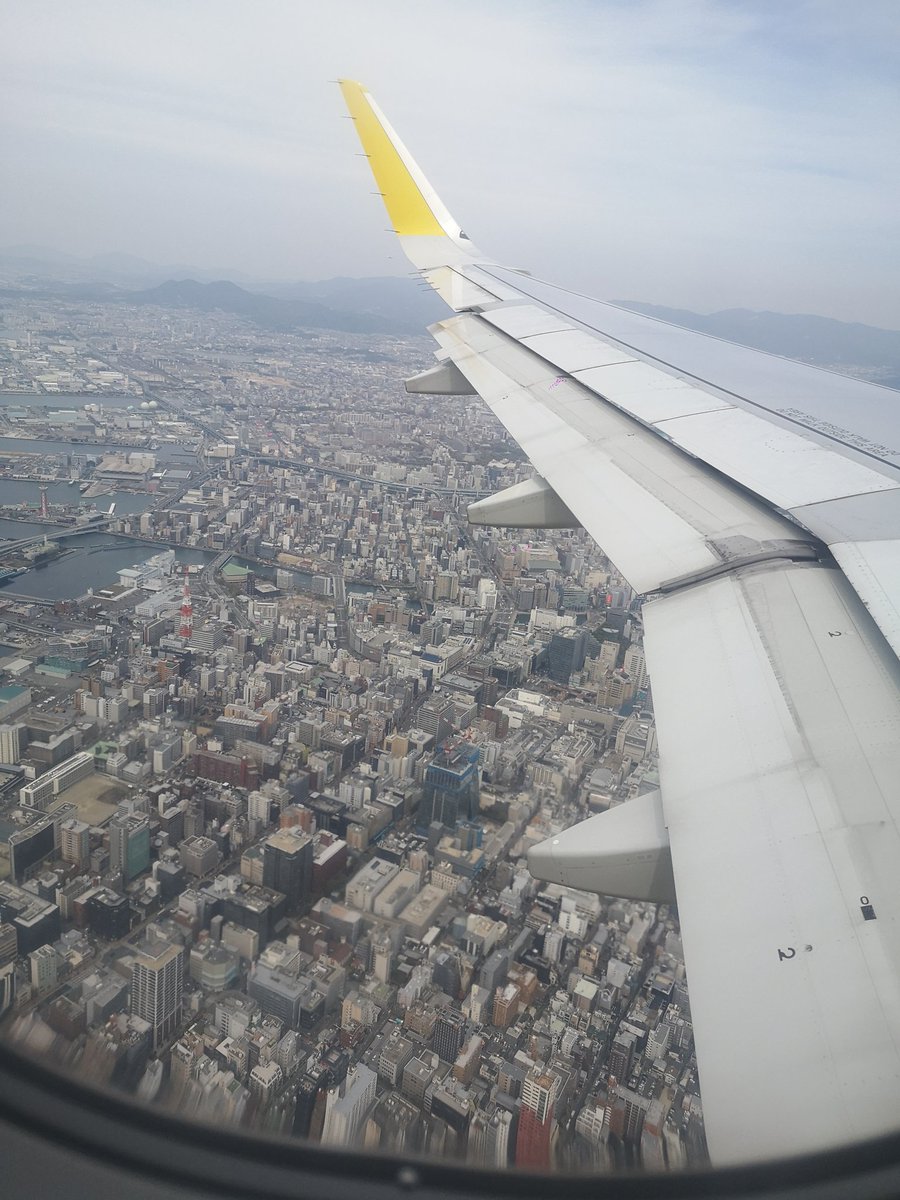riachu1203's tweet photo. ヘッロ日本 :3 https://t.co/FW97Jgwd9l