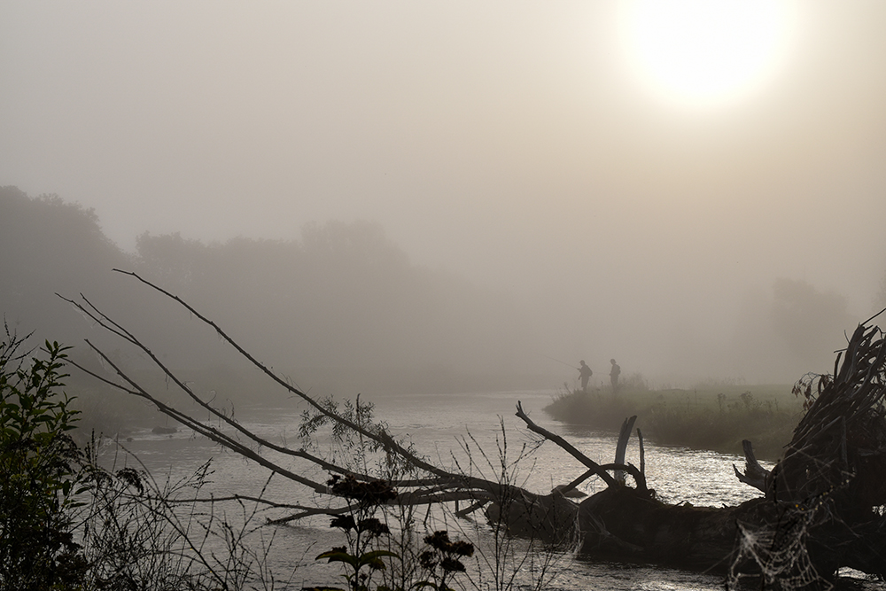 Strungmag's tweet photo. River Ghost
Let me tell you about a ghost. A dark shadow turned violent. A deep channel of still water waiting to pounce. 
https://t.co/fyHRdGtXFR
by Michael Garrigan
:
#tiedtonature #flyfishing #bassfishing #flytying #strungmag #gundog https://t.co/K1Fvo6S1zl