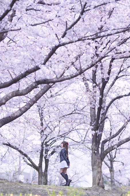 コスプレイヤー雪見のTwitter画像25