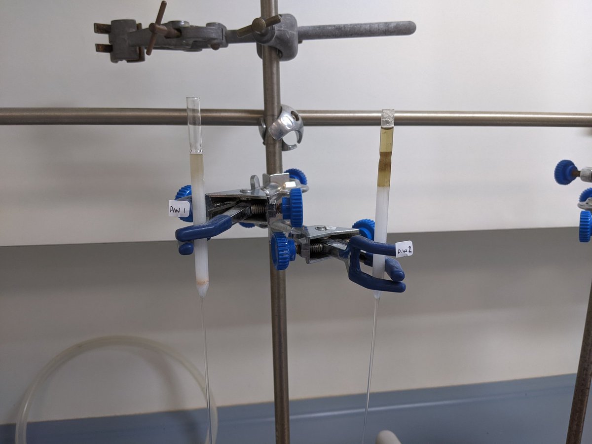 MicrotrashM's tweet photo. Extracting lipids from an organic-rich sediment sample, coming from the site of Aartswoud in the Netherlands! Im looking forward to see what plants and animals contributed to this sediment 😃 https://t.co/fwUgIsbiAf