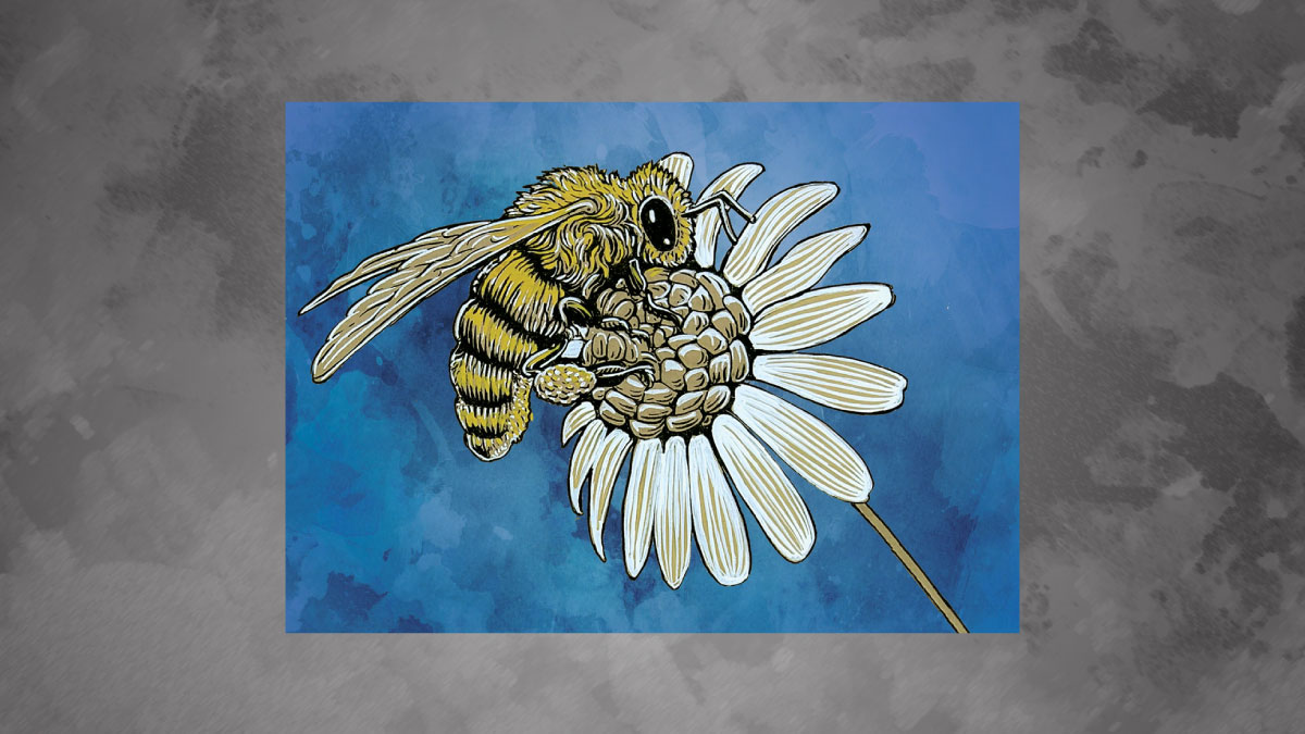 I made 7 greeting card designs but can only print 4.  Which three of these should I drop?  Which is your favorite? Also, new hilarious art blog post patreon.com/posts/64731242 #NHArtist #greetingcard #TyMeier #penandink #acrylicpainting