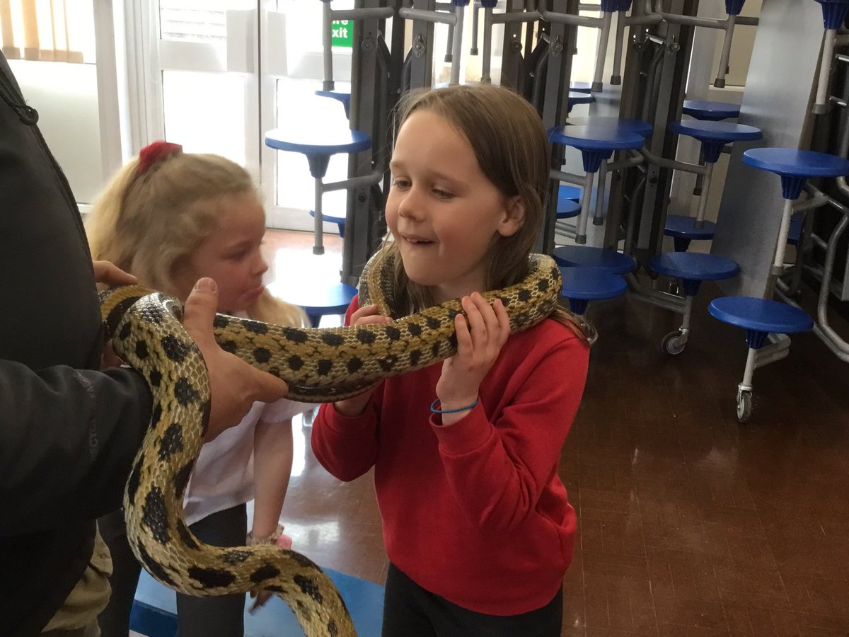 CastlePark_Cald's tweet photo. Y3 loved meeting our special guests to help celebrate the end of our Rainforest topic. I was impressed with the knowledge confidently shared by our children. @AandSencounters #enjoymentinlearning https://t.co/NOGyMrJX6t