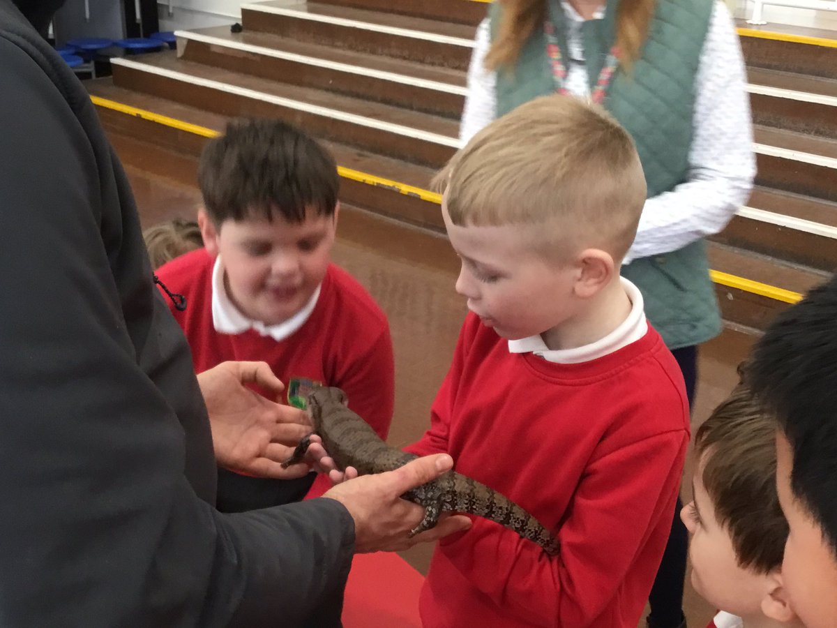 CastlePark_Cald's tweet photo. Y3 loved meeting our special guests to help celebrate the end of our Rainforest topic. I was impressed with the knowledge confidently shared by our children. @AandSencounters #enjoymentinlearning https://t.co/NOGyMrJX6t